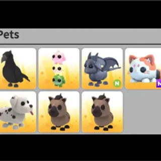 7 Pet Bundle
