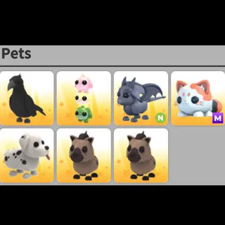 pet Bundle