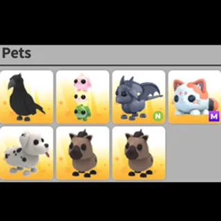 Pet bundle