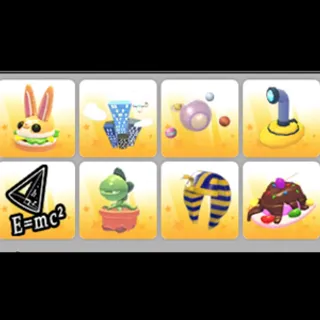Pet wear bundle