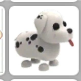 no potion Dalmatian