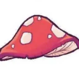 1M MUSHROOM