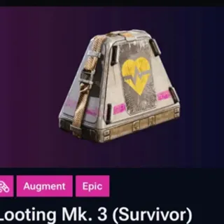 Looting Mk.3 Survivor