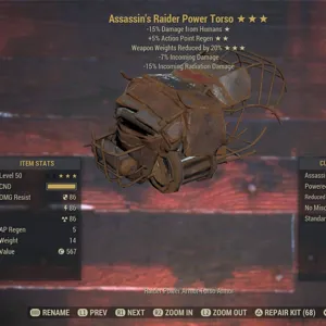 Apparel | ASS/AP/WWR Raider Chest