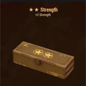 x5 +2 Strength Mods