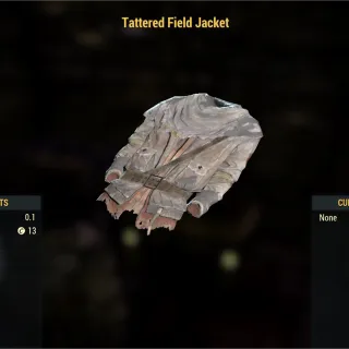 Tattered Field Jacket