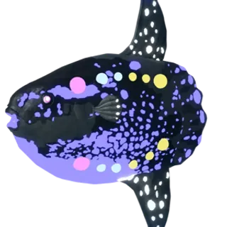 DS Pitch Black Sunfish