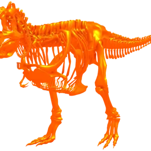 DS Gold Fossil Rex