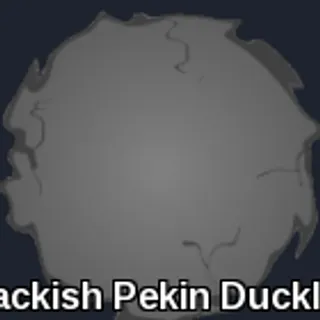 DS Brackish Duckling
