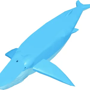 DS Blue Whale Shasta