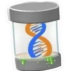 DS 500k DNA