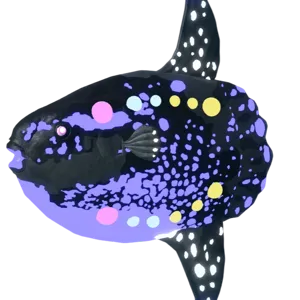 Pitch Black Sunfish DS