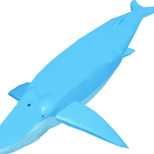 Blue Whale Shastasaurus