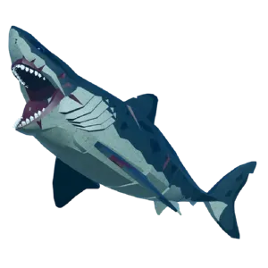 DS Carch Megalodon