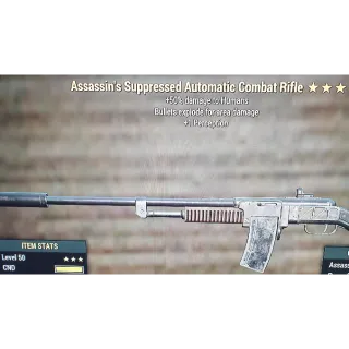 Weapon | AE1P Combat Rifle 🔪