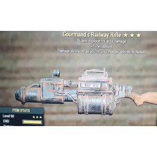 Weapon | GourE1P Railway Rifle 