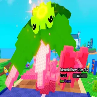 10kg Neon-Wrapped Poinsettia Flower 12.3M DPS