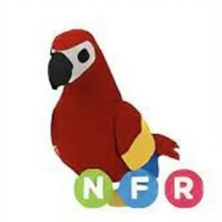 NFR Parrot