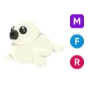 MFR harp seal