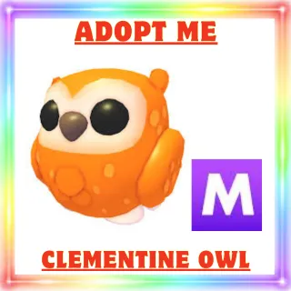 Mega Clementine Owl