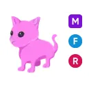 MFR pink cat