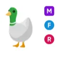 MFR silly duck