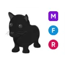 MFR black panther