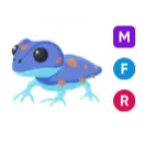 MFR gecko