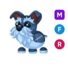 MFR MINI SCHNAUZER