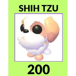 200x Shih Tzu - Adopt Me