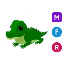 MFR crocodile