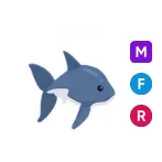 MFR Shark - Adopt Me