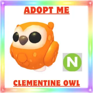 Neon Clementine Owl