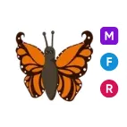 MFR orange butterfly