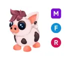 MFR mini pig