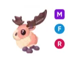 MFR Papa Moose