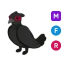 MFR Black Chested Pheasant