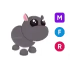 MFR hippo