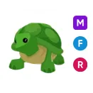 MFR TURTLE
