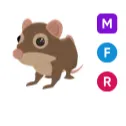 MFR Shrew