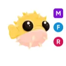 MFR puffer fish