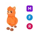 MFR alpaca