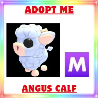 Mega Angus Calf