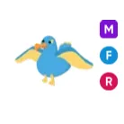 MFR Diamond Albatross