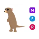 MFR meerkat