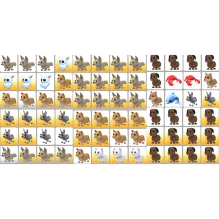 72x Pet Bundle - Adopt Me #4