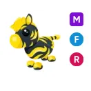 MFR Flaming Zebra