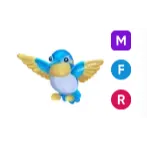 MFR Diamond Hummingbird