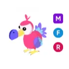 MFR Dodo - Adopt Me