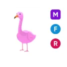 MFR flamingo